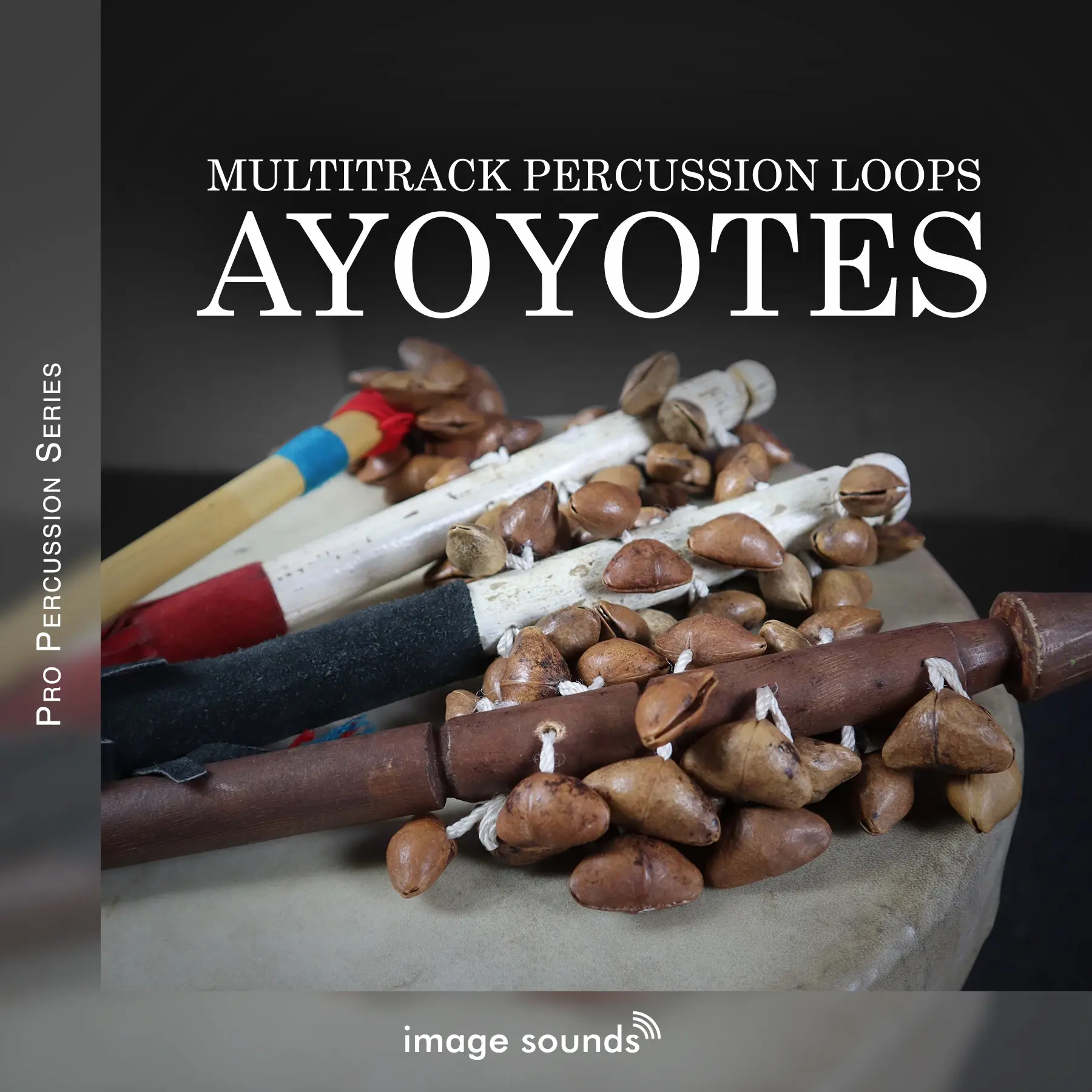 Ayoyotes (Seeds-Shells) by Image Sounds - Music Software Deals